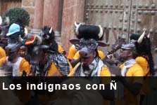 Los indignaos con �