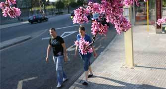 Haz clic sobre la imagen para ver la noticia