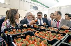 Haz clic sobre la imagen para ver la noticia